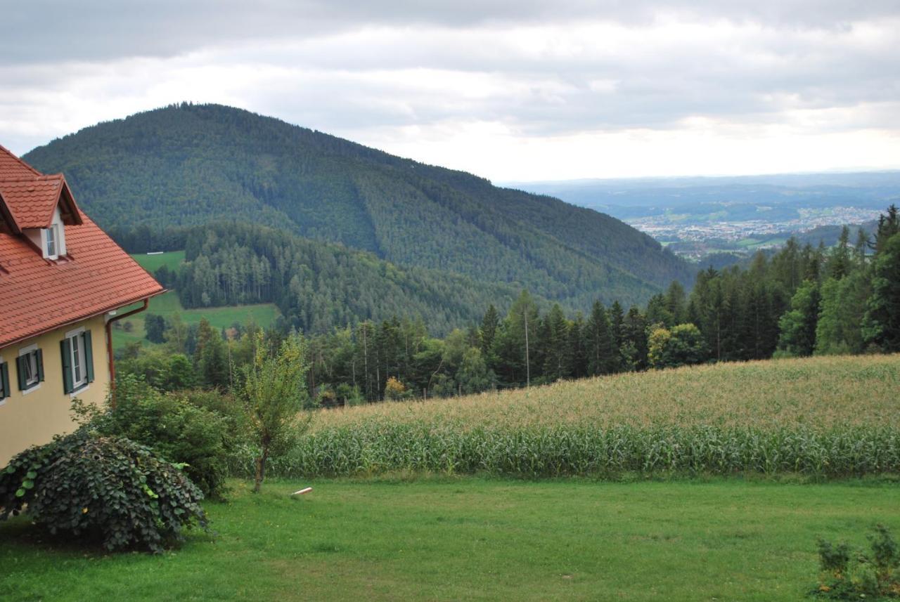 Ferienwohnung Ferienhütte Zetzhirsch Weiz Exterior foto