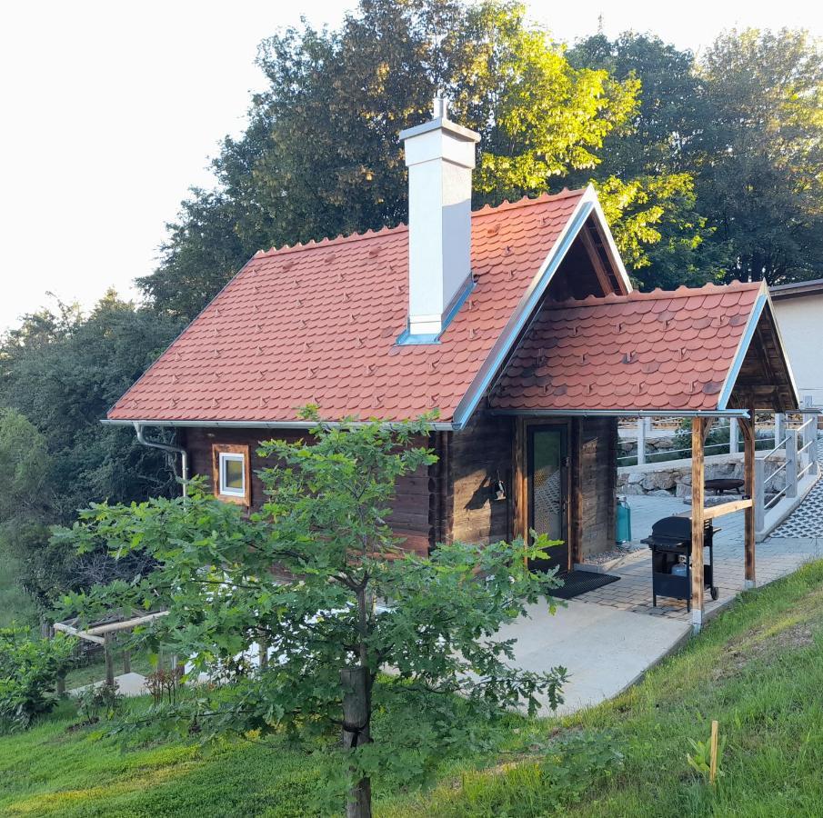 Ferienwohnung Ferienhütte Zetzhirsch Weiz Exterior foto