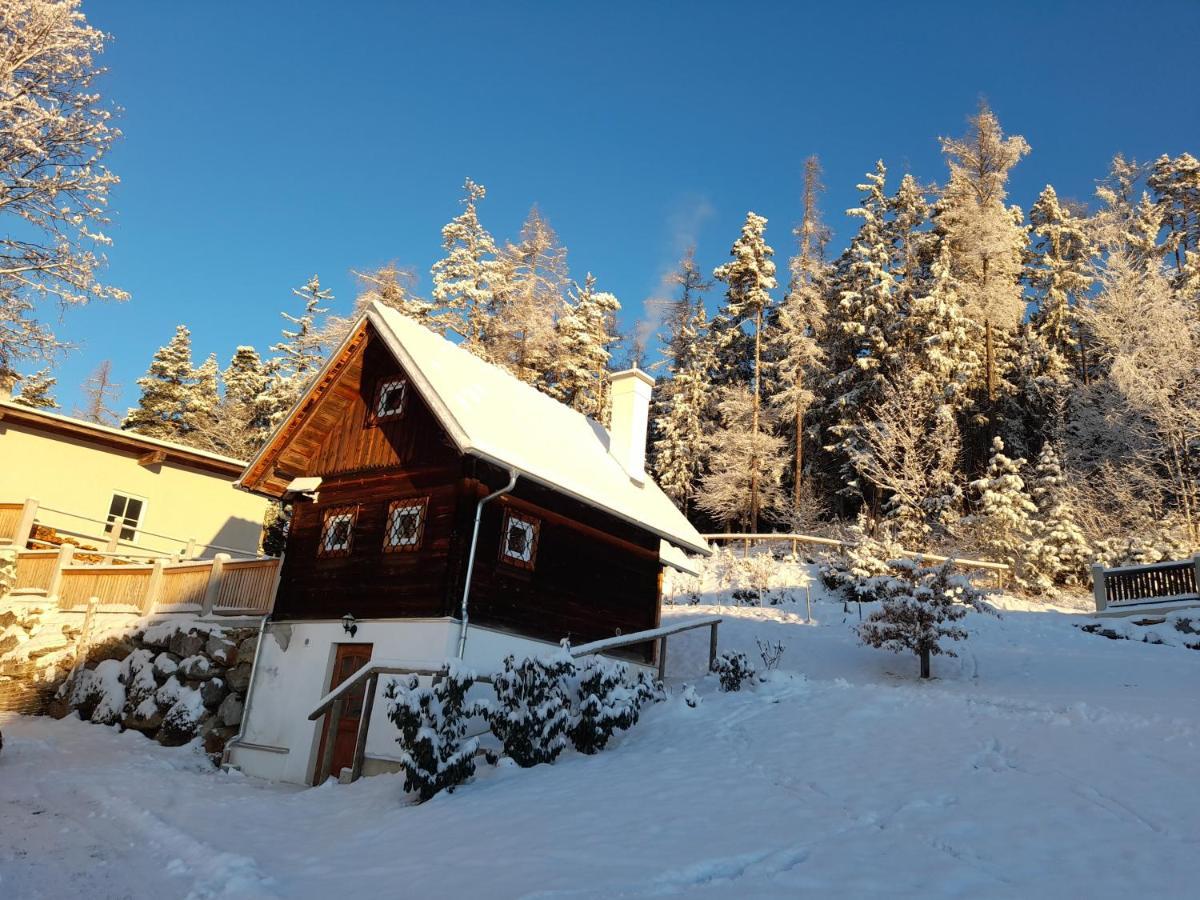 Ferienwohnung Ferienhütte Zetzhirsch Weiz Exterior foto